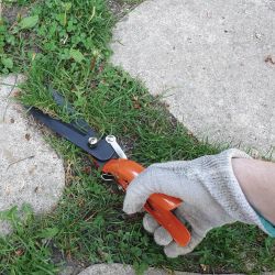 Grass shears