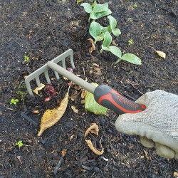 Rake with 6 curved tines