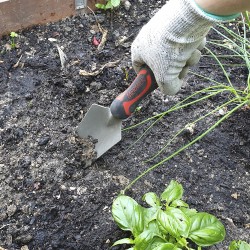 Transplantoir renforcé