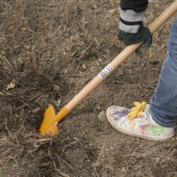 Junior shovels