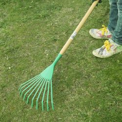 Junior broom and lawn rake